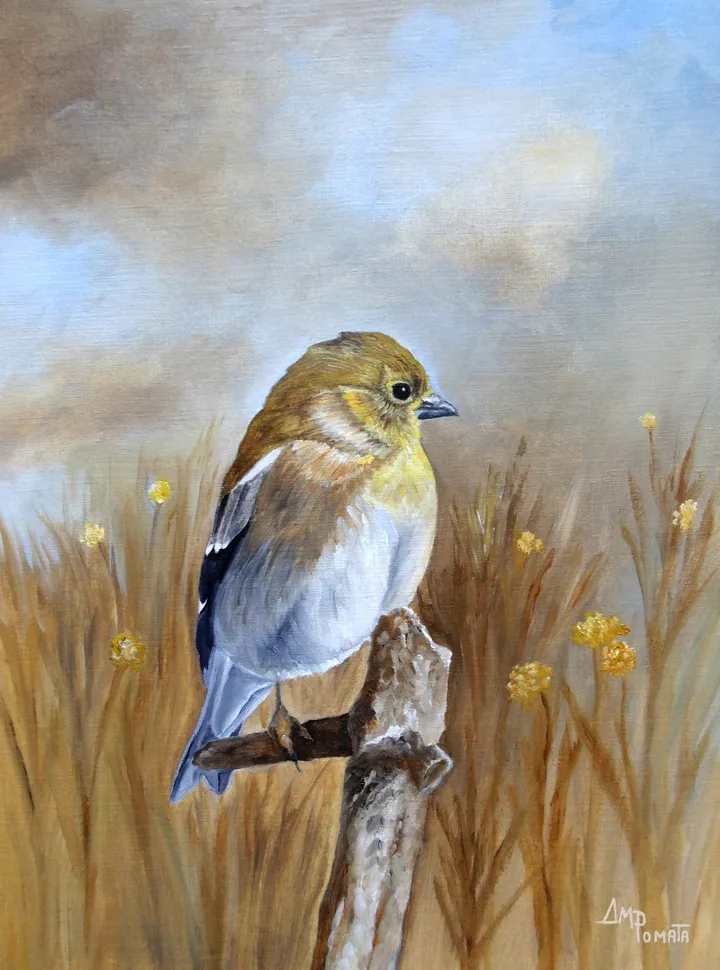 American Goldfinch In The Fall Light