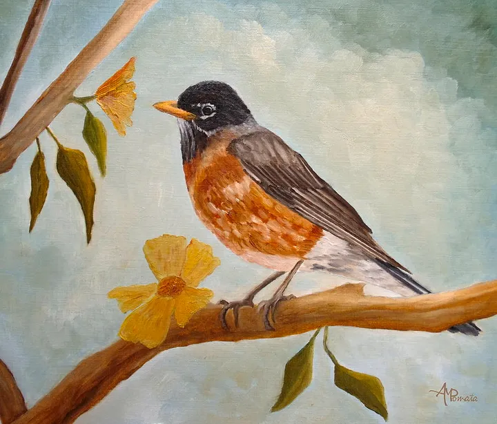 American Robin On A Spring Afternoon