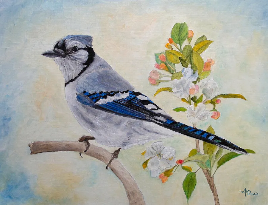 Blue Jay Among Apple Blossoms, original bird oil painting by Angeles M Pomata