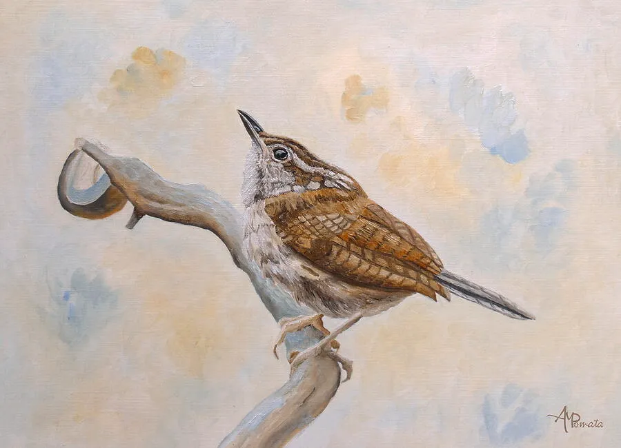 Carolina Wren, original bird oil painting by Angeles M Pomata