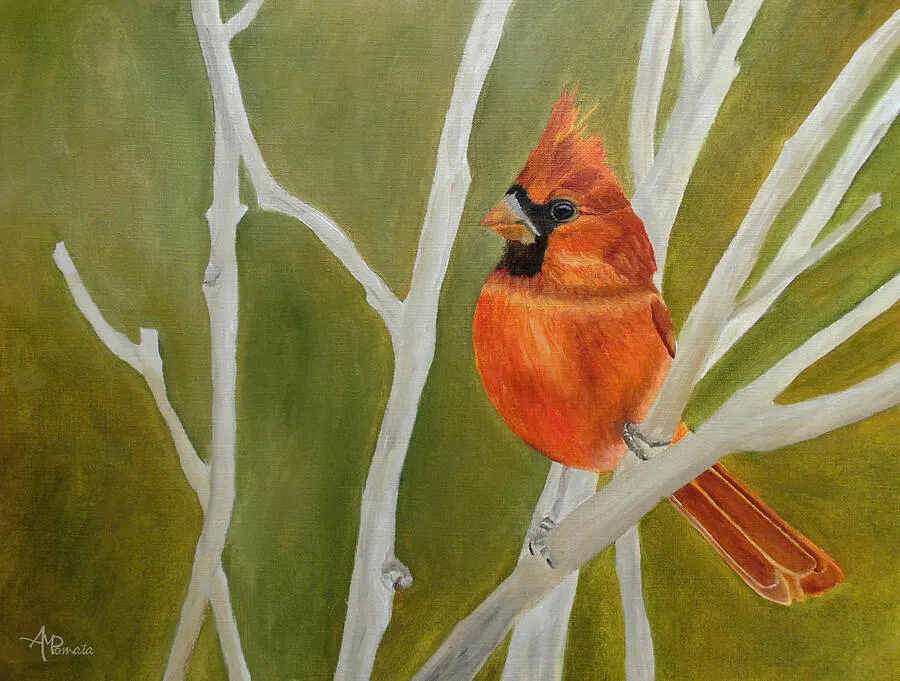 Cutest Ambushed Cardinal, original bird oil painting by Angeles M Pomata