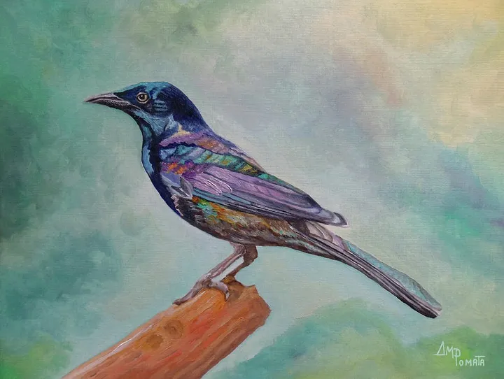 Dressed In Lights Common Grackle