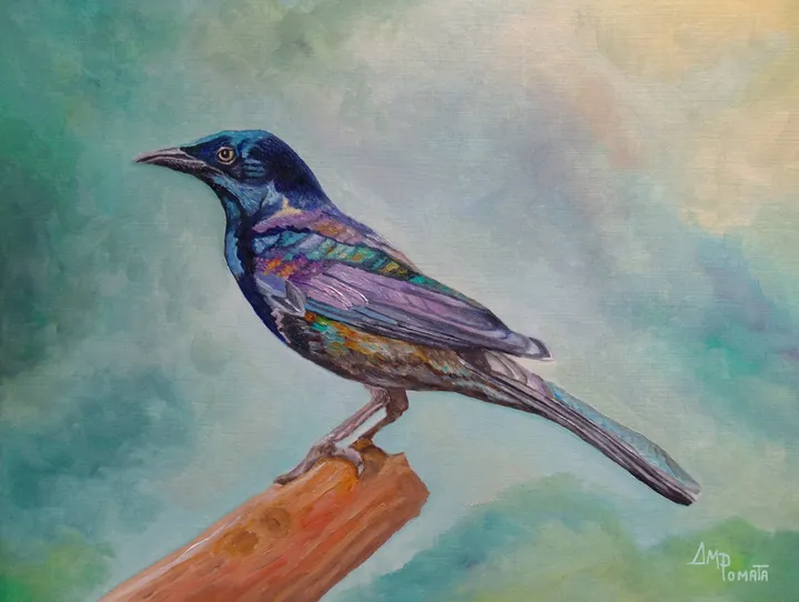 Dressed In Lights Common Grackle
