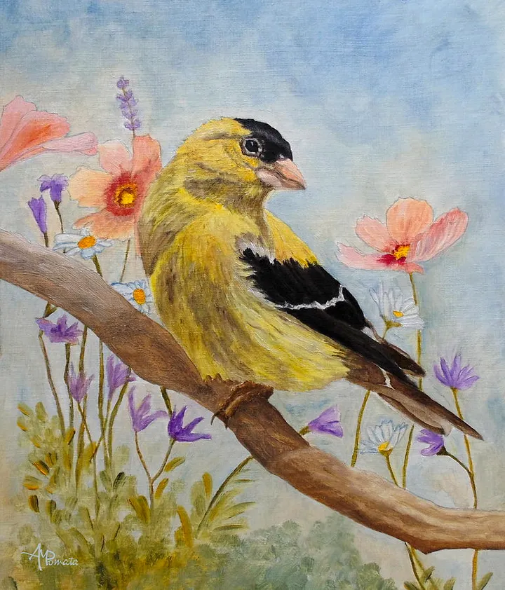 Early Spring American Goldfinch