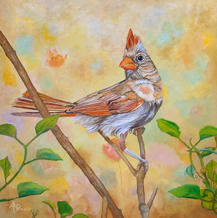 Female Cardinal Portrait, original bird oil painting by Angeles M Pomata