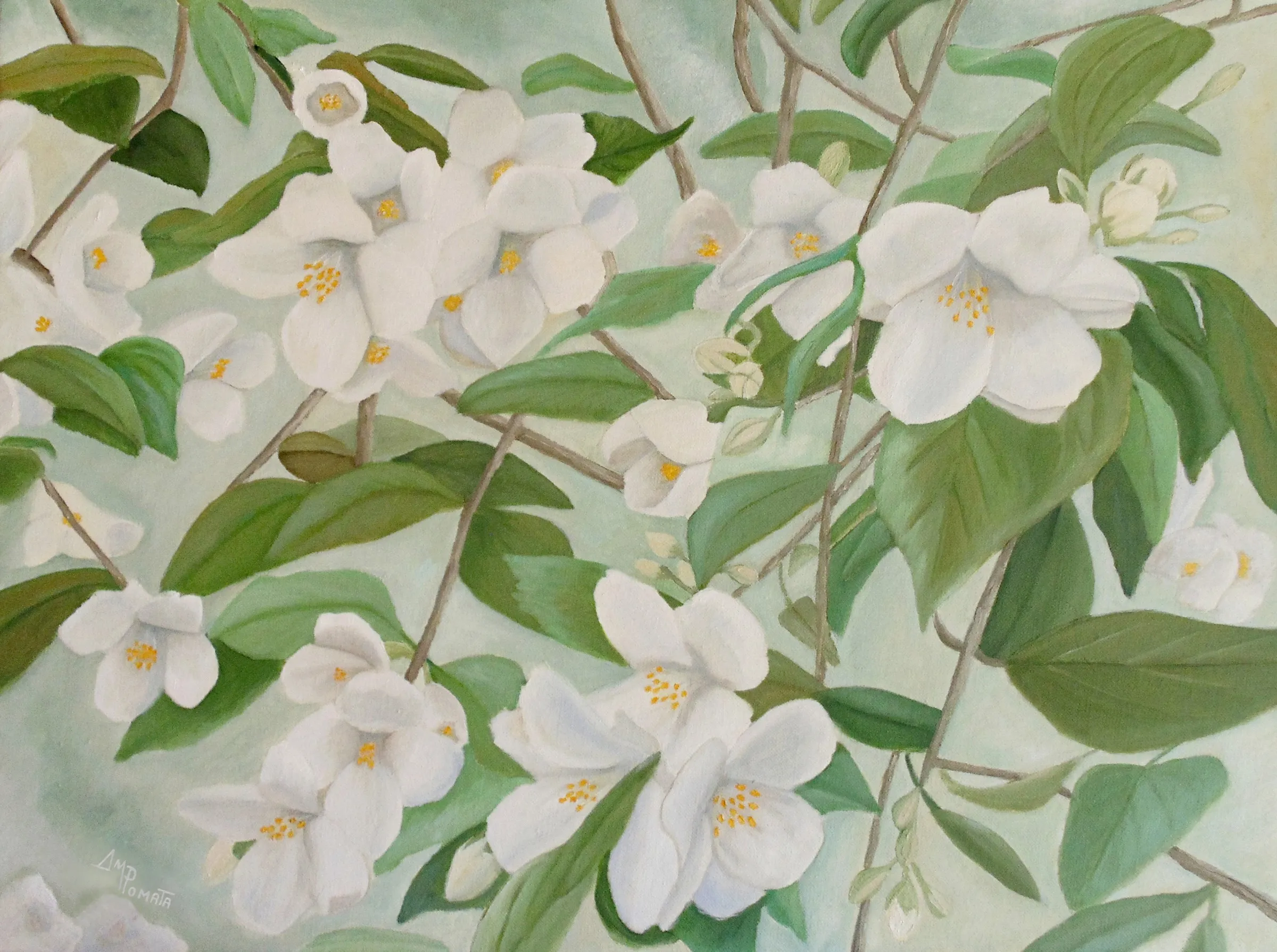 Orange Blossoms, original floral oil painting by Angeles M Pomata