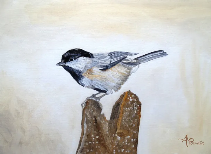 Pale Gold Chickadee