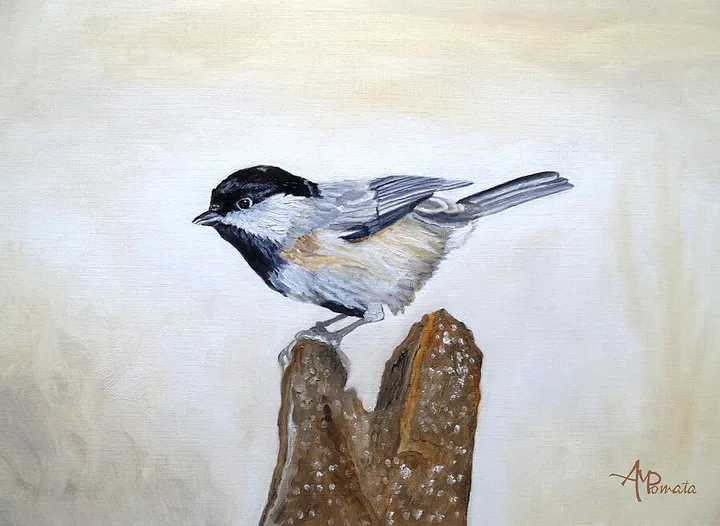 Pale Gold Chickadee