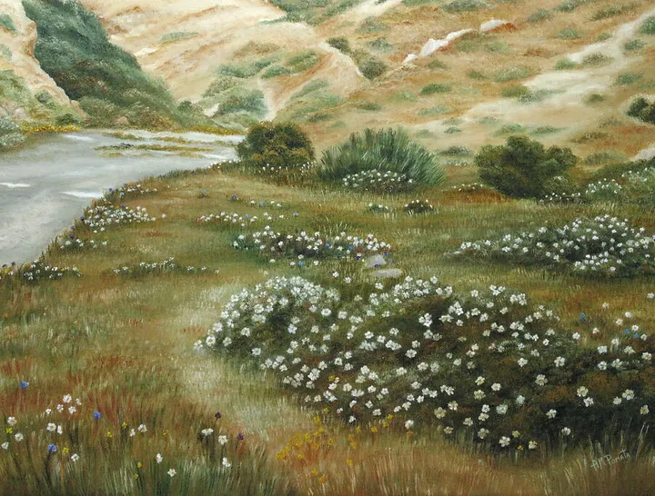 Path Of Flowers
