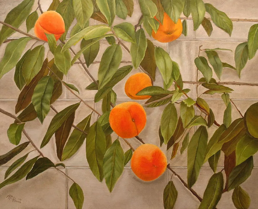 Peaches, original still life oil painting by Angeles M Pomata