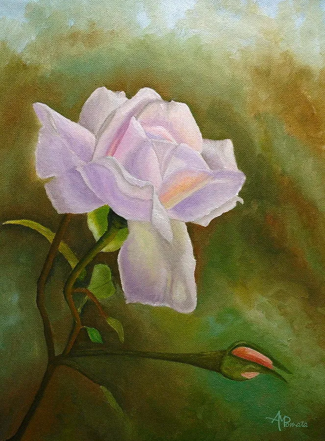 A Single Rose