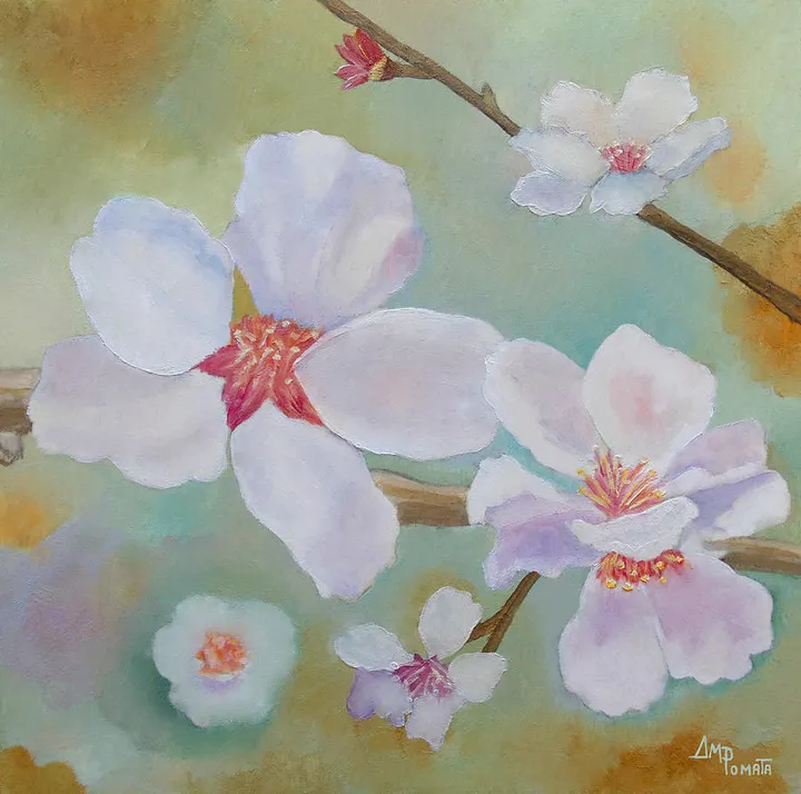 Almond Blossoms II