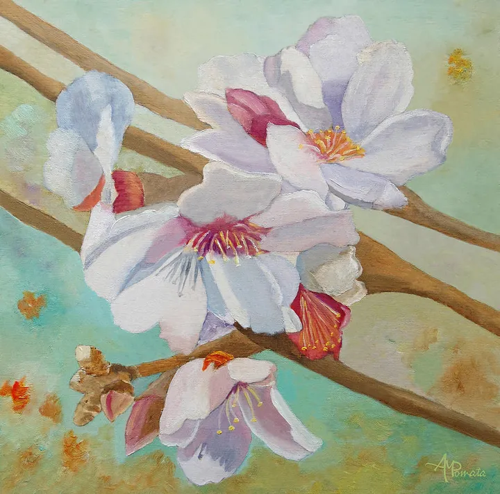 Almond Blossoms