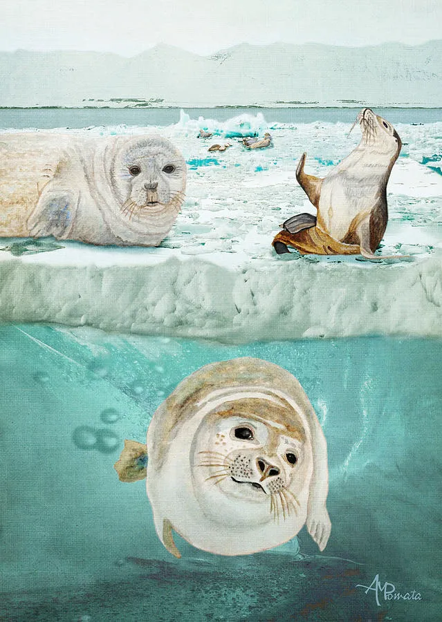Arctic Expedition