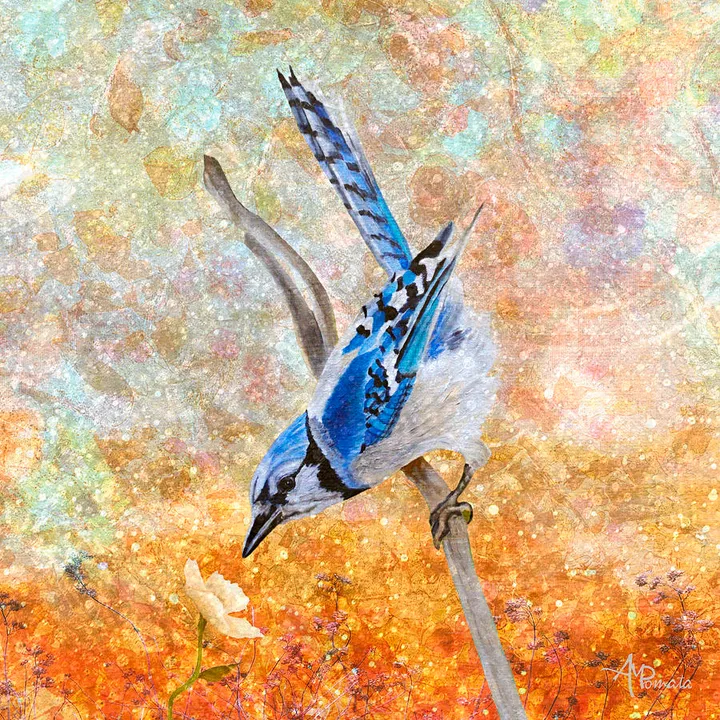 Beneath The Stardust
