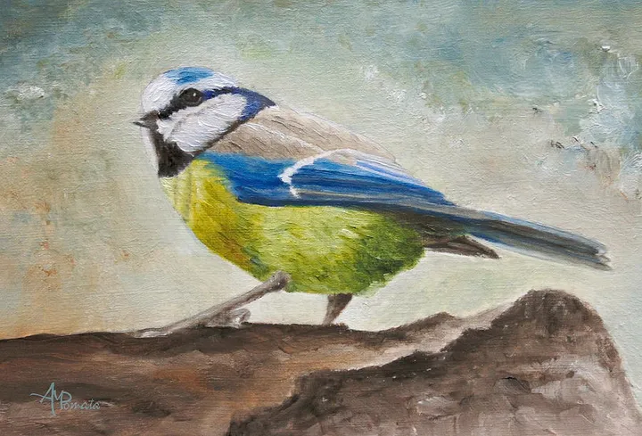 Blue Tit