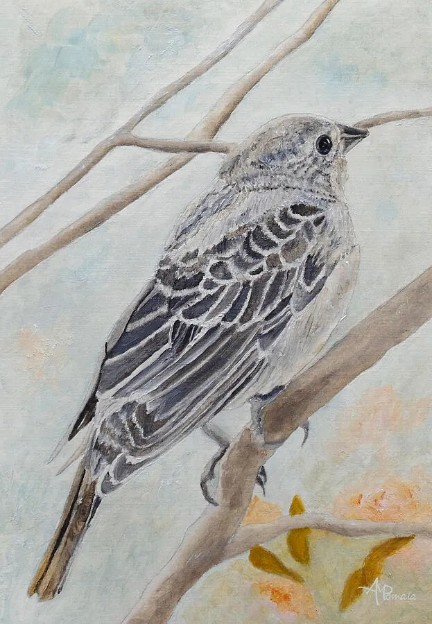 Bonny Cowbird