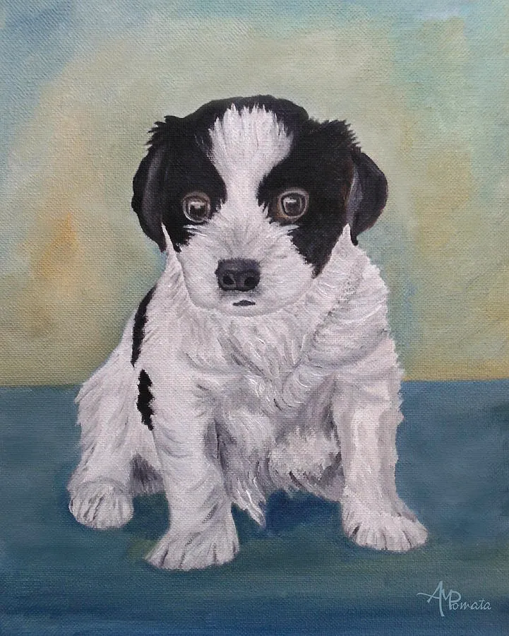 Border Collie Puppy, original animal oil painting by Angeles M Pomata