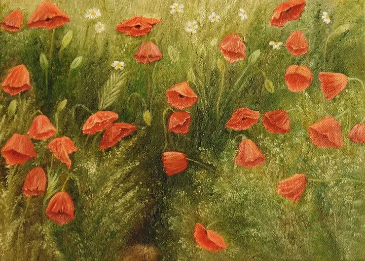 Bunch Of Poppies
