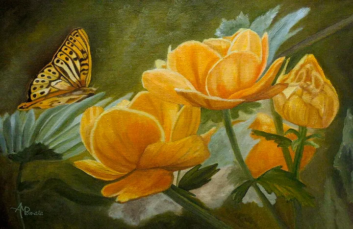 Butterfly Among Yellow Flowers