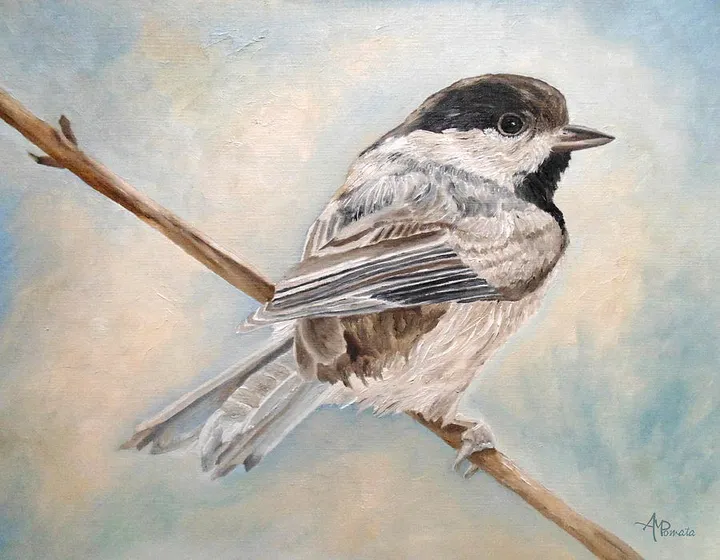 Cherubic Black-capped Chickadee