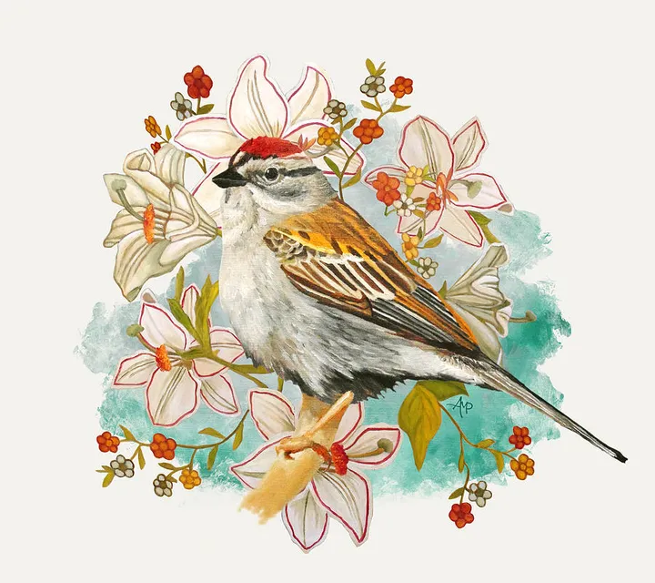Chipping Sparrow And Flowers