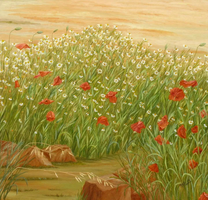 Daisies And Poppies