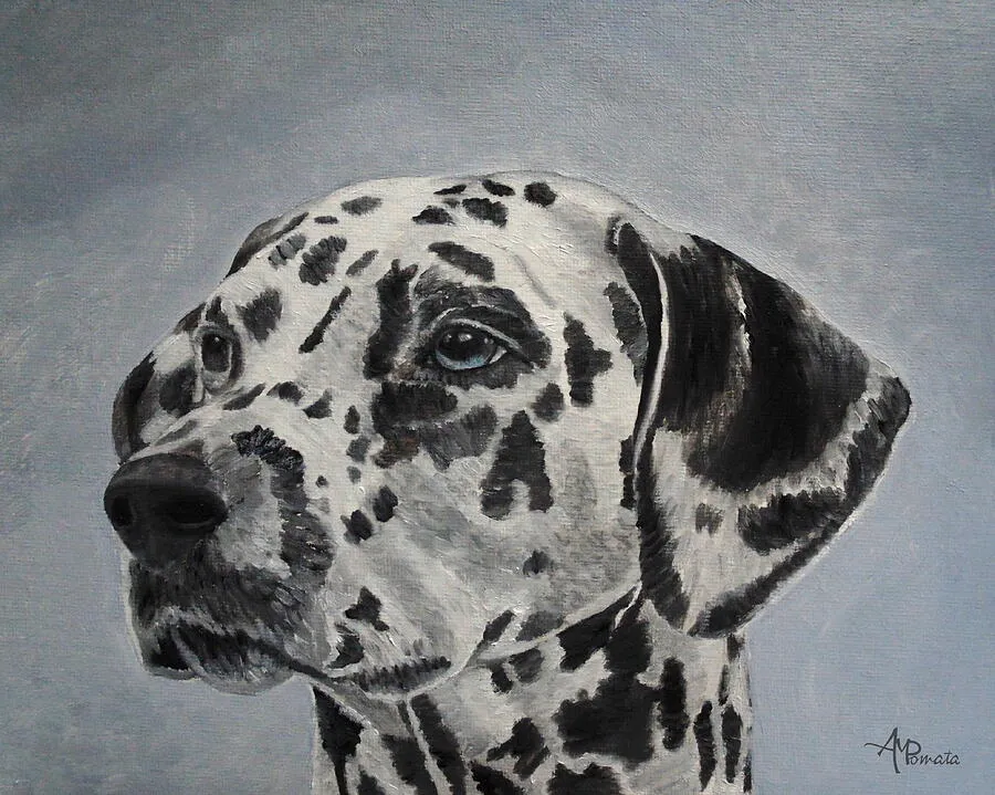 Dalmatian Portrait, original animal oil painting by Angeles M Pomata