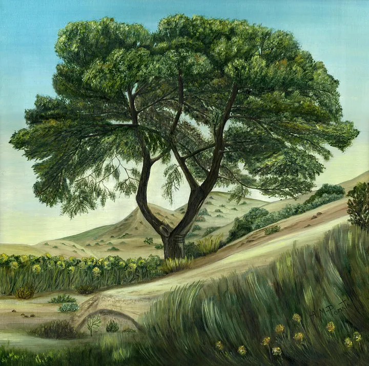Desert Pine