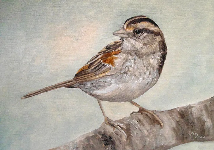 Dinky Sparrow