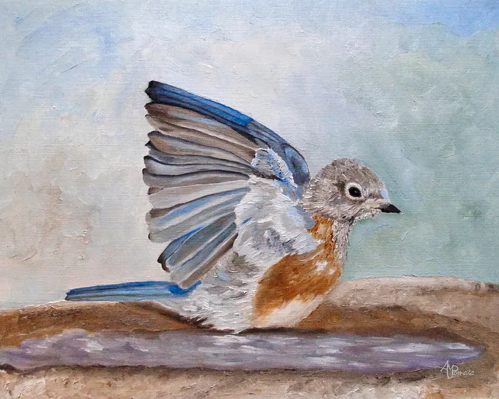Dip Time - Eastern Bluebird