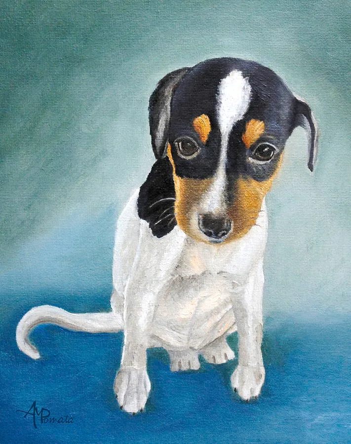 Doe-eyed Puppy