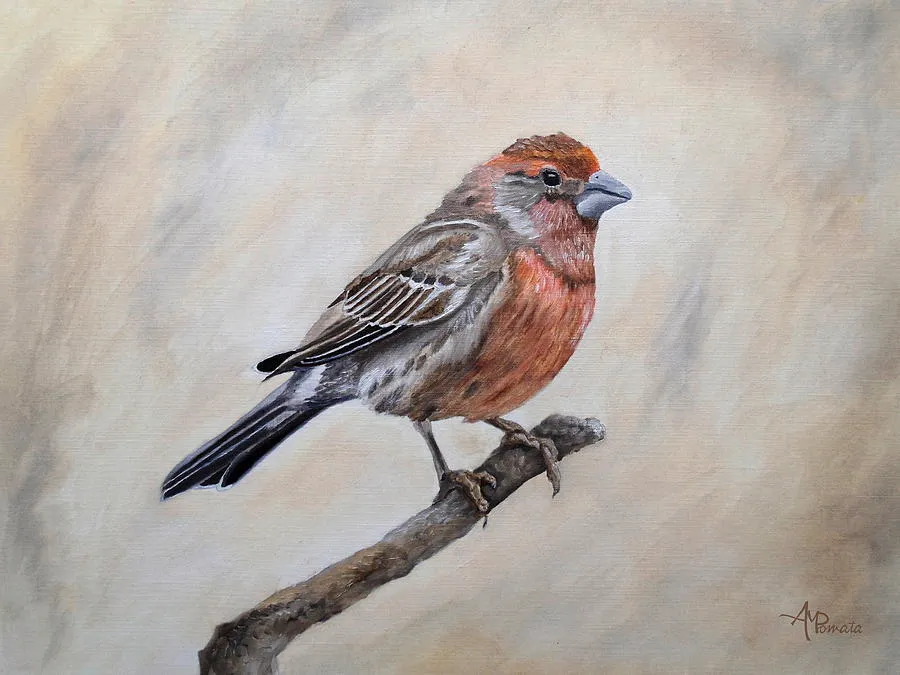 Eager For Winter, original bird oil painting by Angeles M Pomata