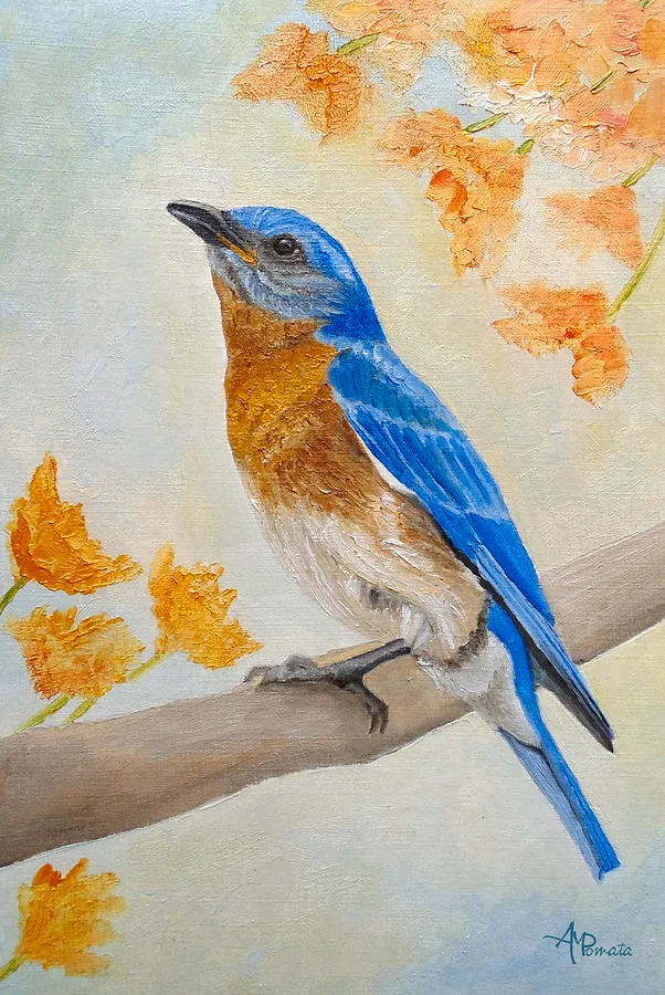 Eastern Bluebird Among Flowers
