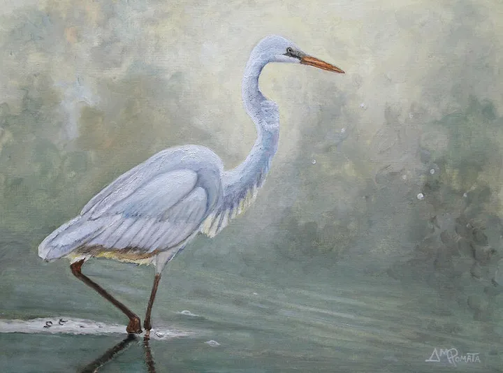 Egret in the Mist