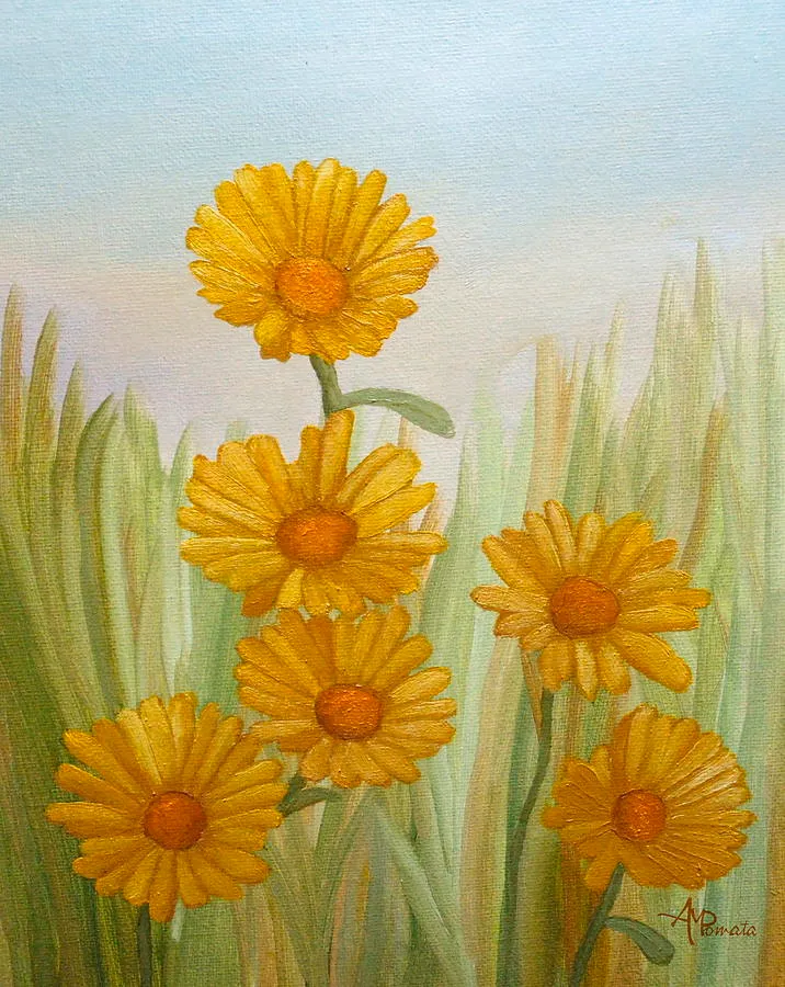 Field Of Yellow Daisies