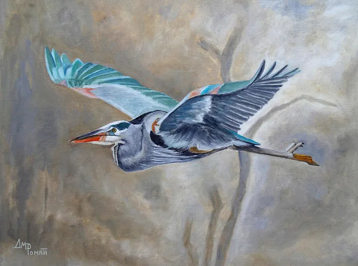 Flying Heron