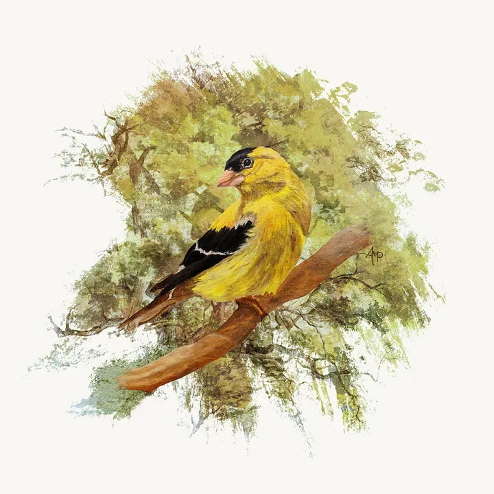 Green Shades Goldfinch