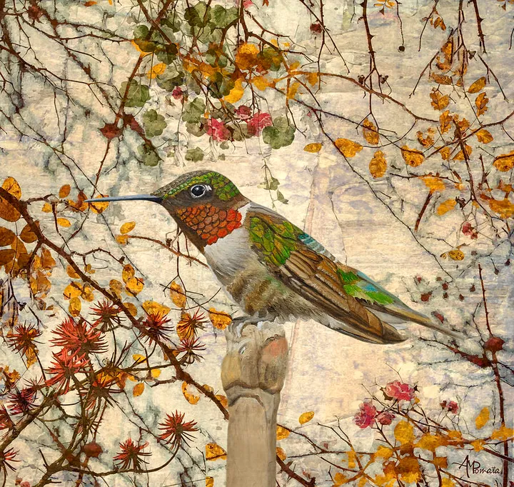 Hummingbird and Wallflowers