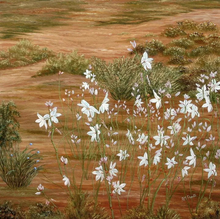 Liliaceae