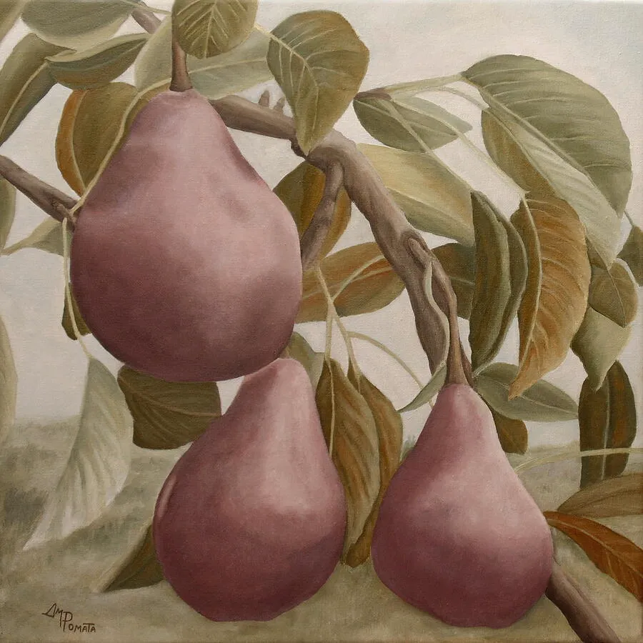 Max Red Bartlett Pears, original still life oil painting by Angeles M Pomata