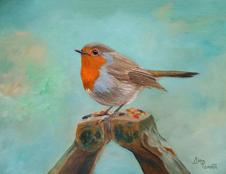 Morning Robin