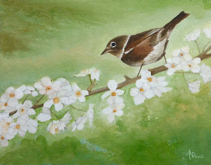 Nightingale Among Almond Flowers
