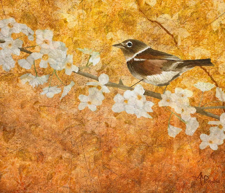 Nightingale's Solstice