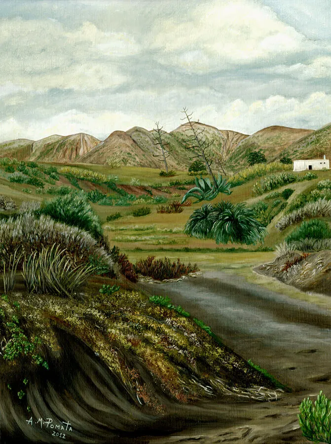 Pitas' Path