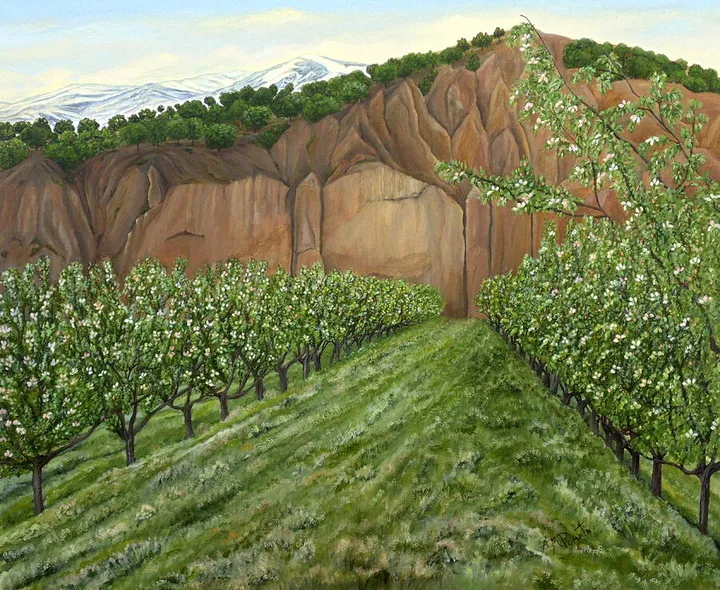 Quince Trees