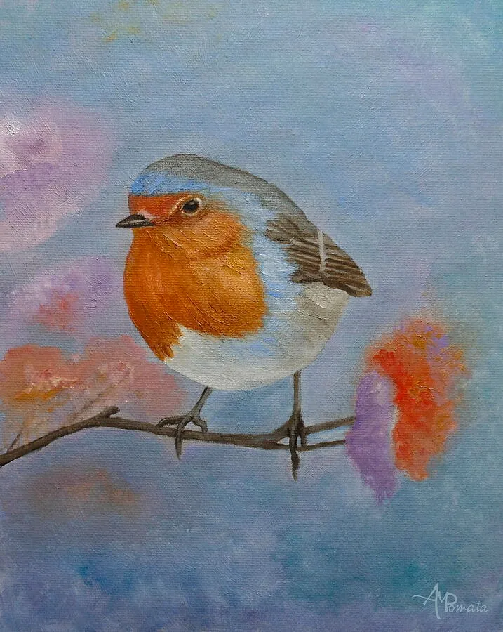 Robin