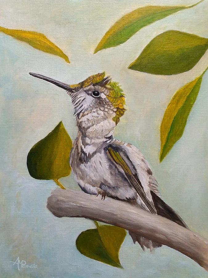 Ruby-throated Hummingbird