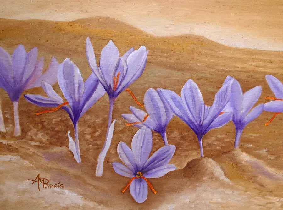 Saffron Flowers, original floral oil painting by Angeles M Pomata