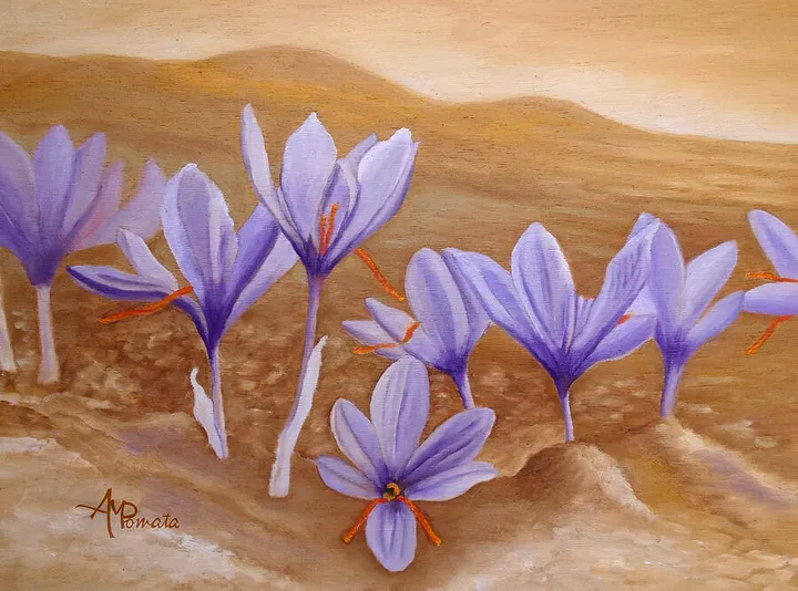 Saffron Flowers
